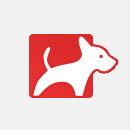 Inzerce psů Vizsla - maďarský ohař krátkosrstý - štěně