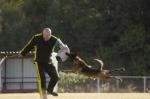 K-9 TRAINING - Kynologické výcvikové středisko