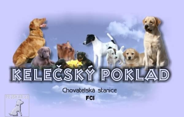 Kelečský poklad