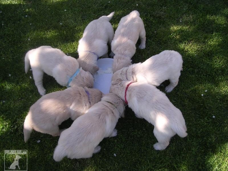 Z Andělské zahrady