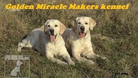 Golden Mircle Makers