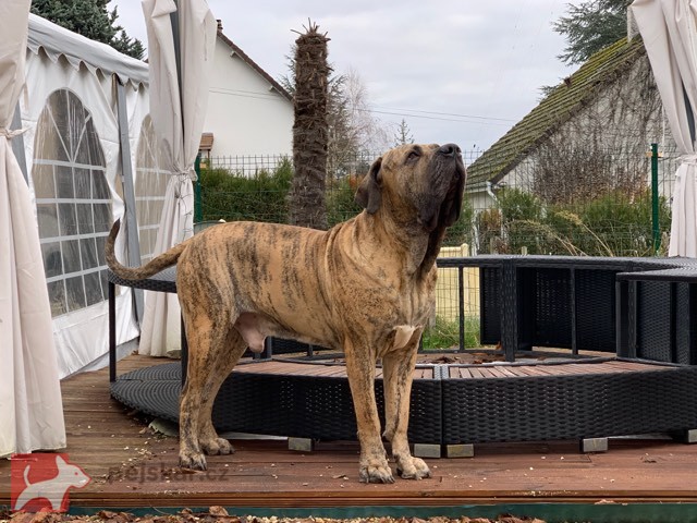 Of Fazenda dos Amigos da Vida