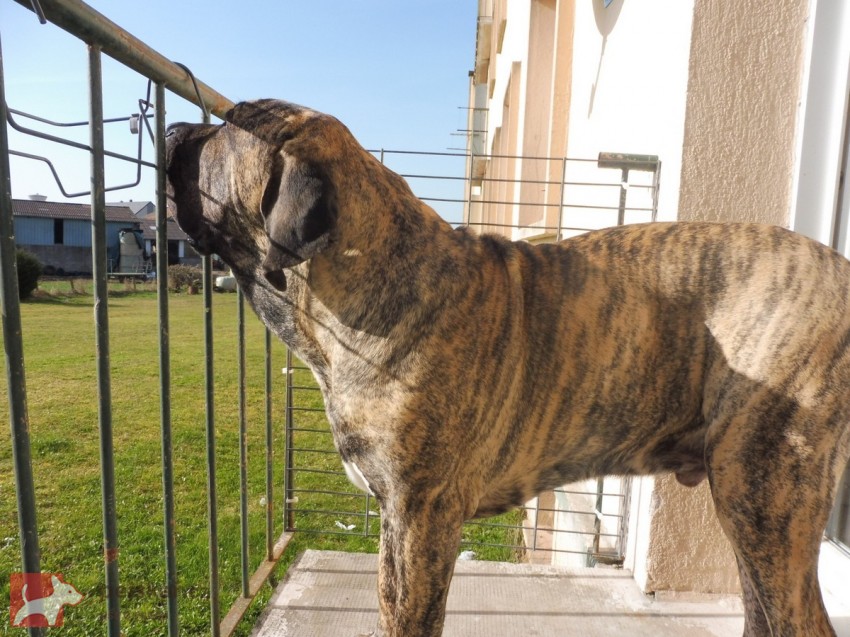 Of Fazenda dos Amigos da Vida