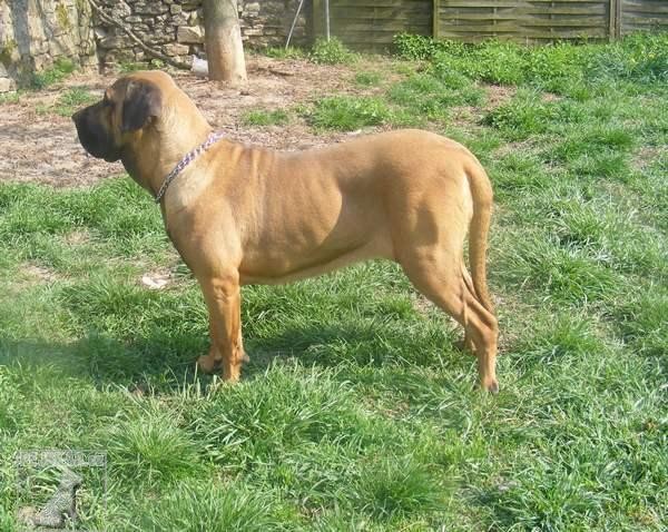 Of Fazenda dos Amigos da Vida