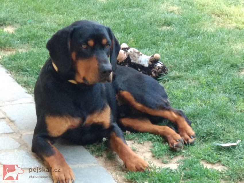 Od Pavlečkovy skály