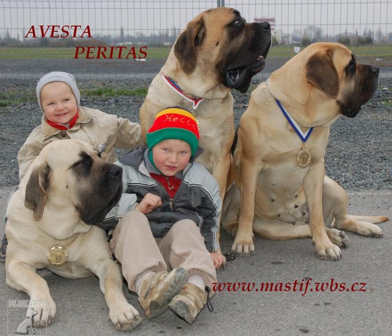 Avesta Peritas