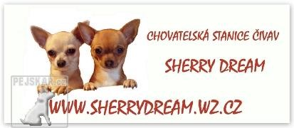 Sherry Dream