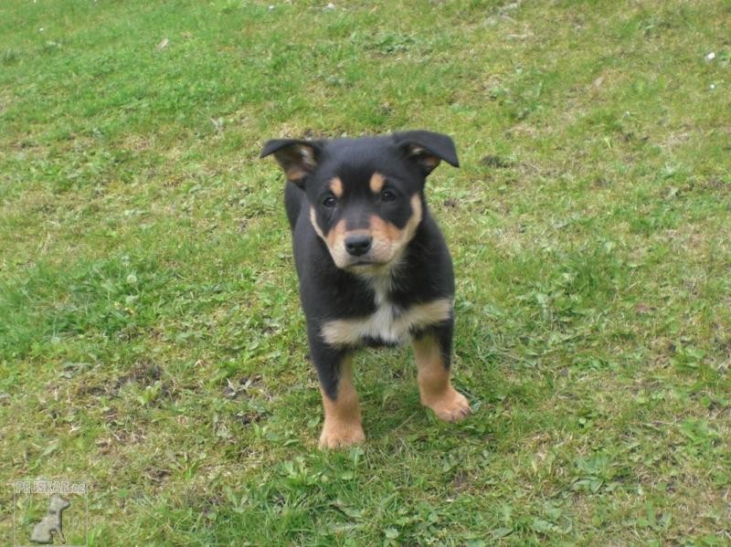 z portyčské zahrady