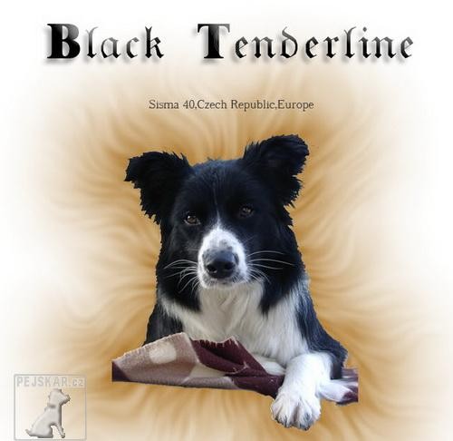 Black Tenderline