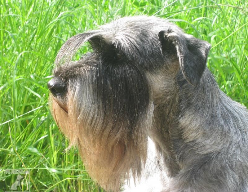 Z Habrovanského panství