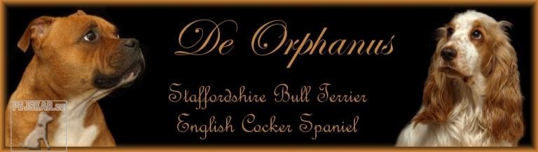 De Orphanus