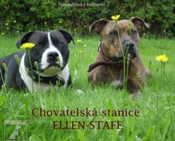 Ellen-Staff