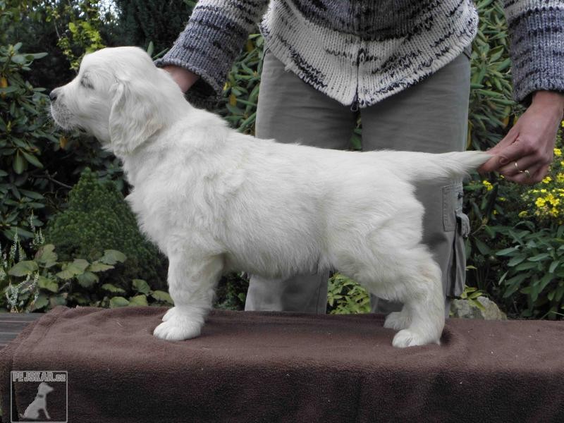 Od Vltavské stráně