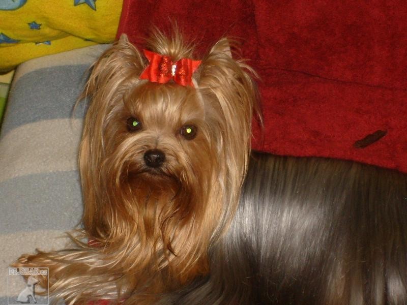 Elizabet Milou