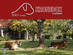 Kronebox & Lakronebox