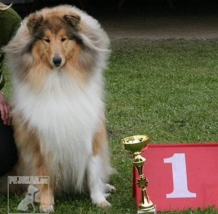 van Golden Nachtigal