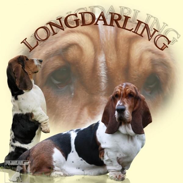 Longdarling