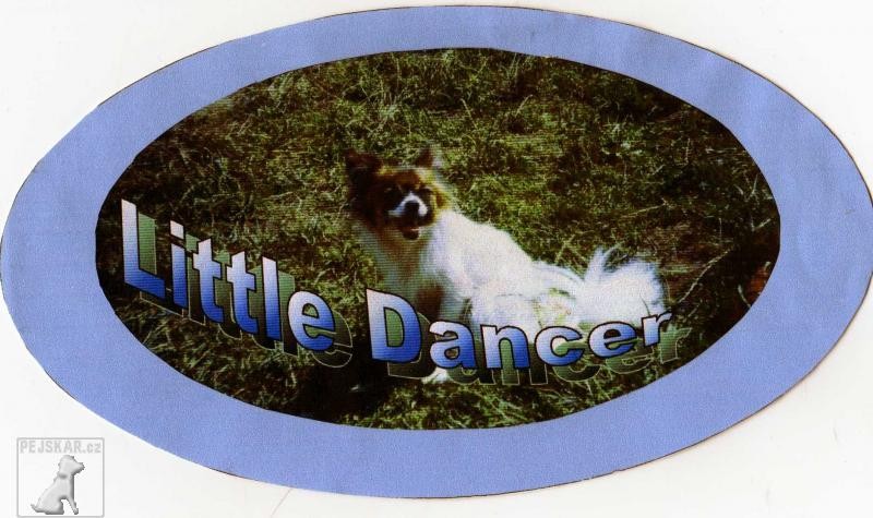 Little Dancer