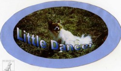 Little Dancer