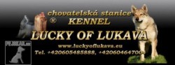 Chovatelská stanice Lucky of Lukava