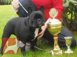 z Milovické nížiny