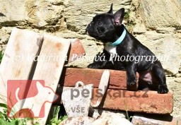 z Milovické nížiny