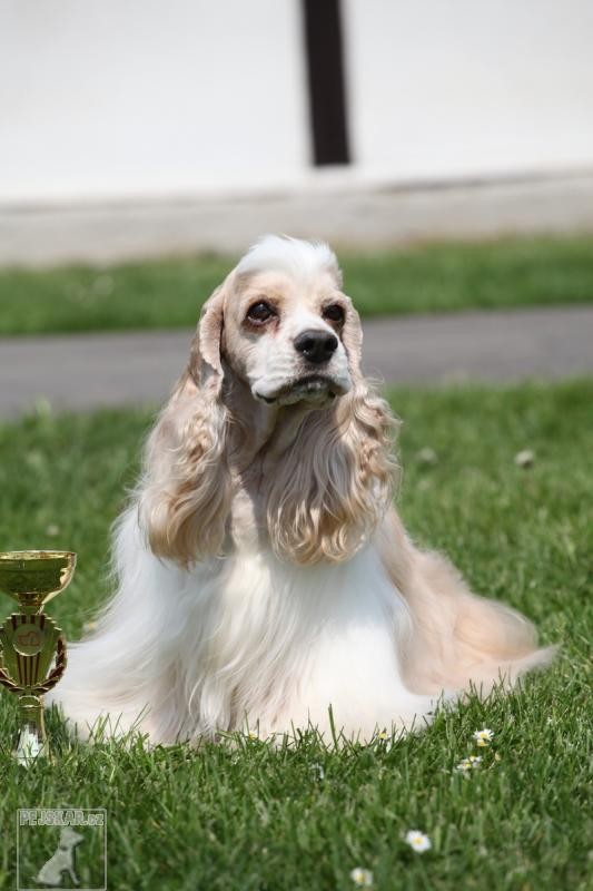 Z Čachnovského ranče