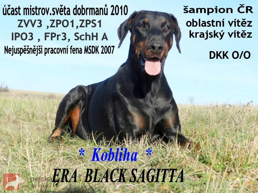 Black sagitta