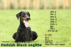 Black sagitta