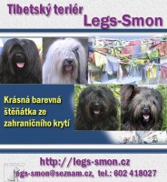 Legs-Smon