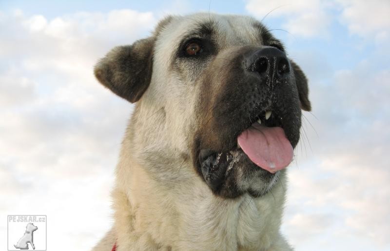 CHS od Svaté Zdislavy