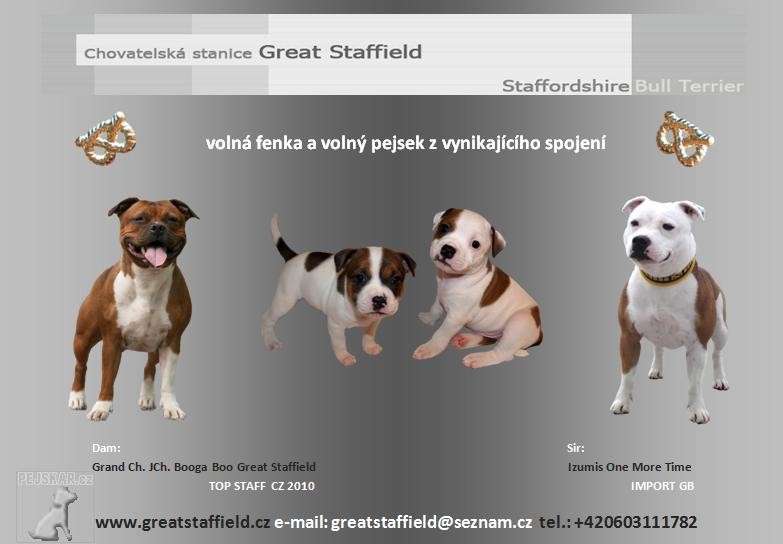 Great Staffield