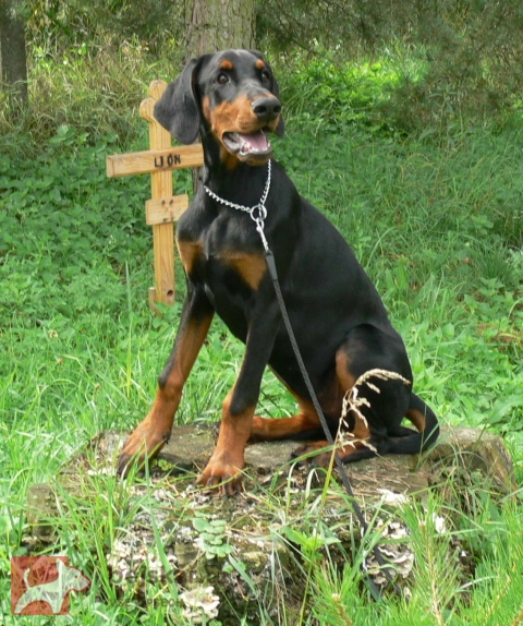 z  Panstvi  Dobrkacky