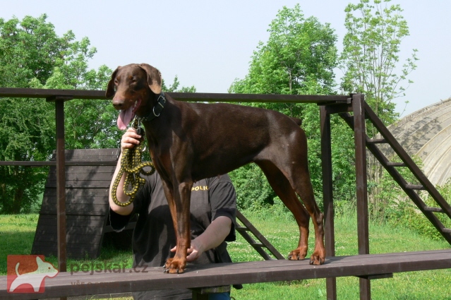 z  Panstvi  Dobrkacky