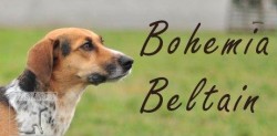 Bohemia Beltain