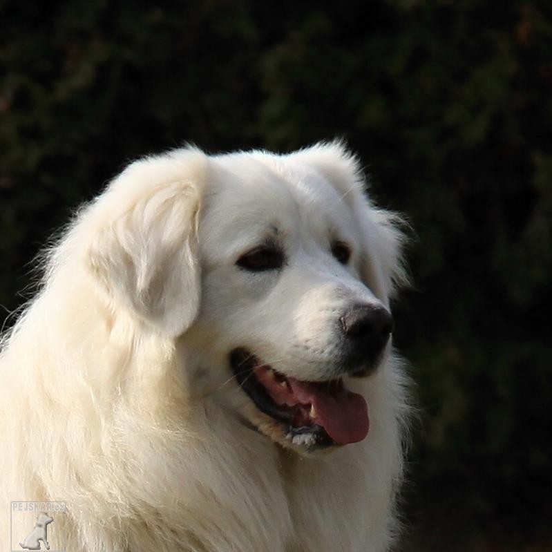 Bratroňské štěstí