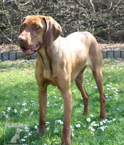 CHS od Ratbořských rybníků