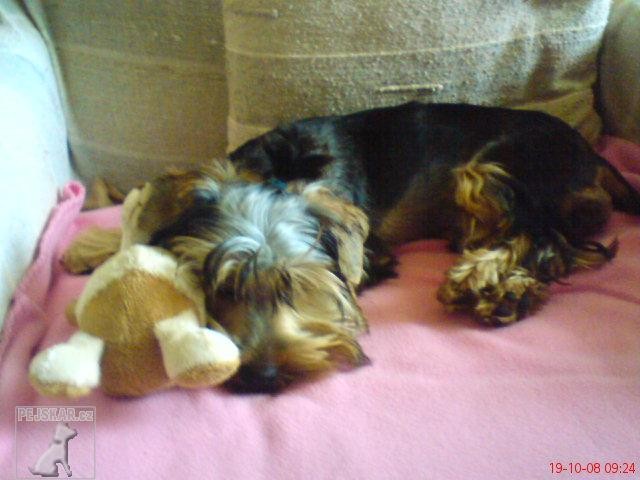 Dixinka