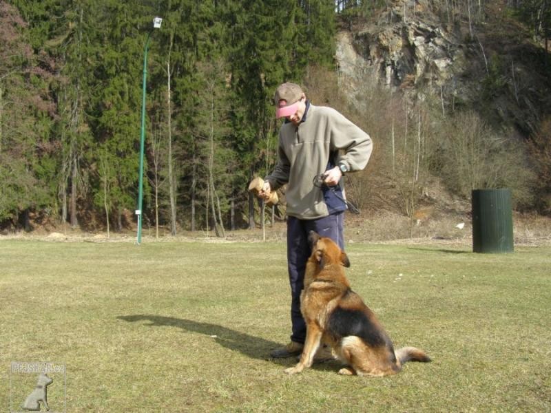 chovatelská stanice plemene Německý ovčák-Jihland