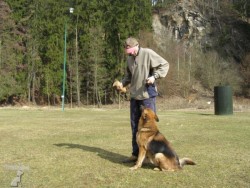 chovatelská stanice plemene Německý ovčák-Jihland