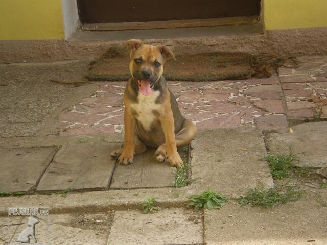 MAX A AGI