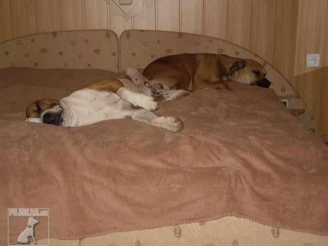 MAX A AGI