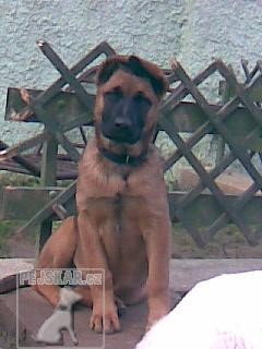 KESSI