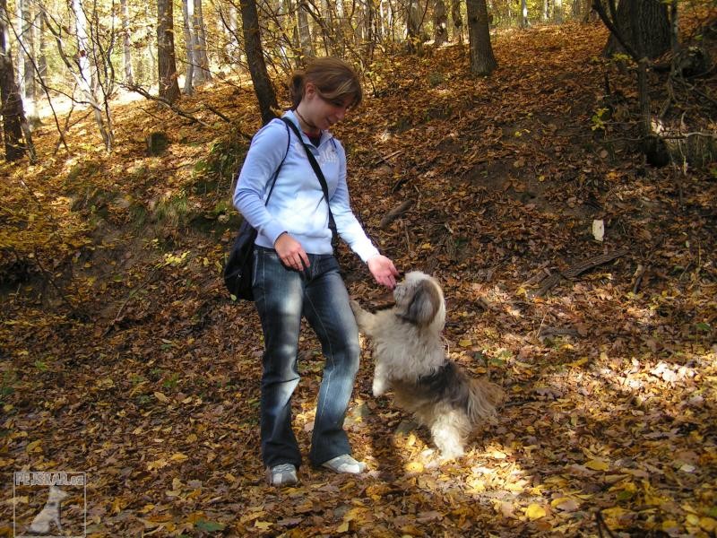 Lívinka