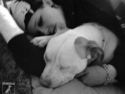 jessy