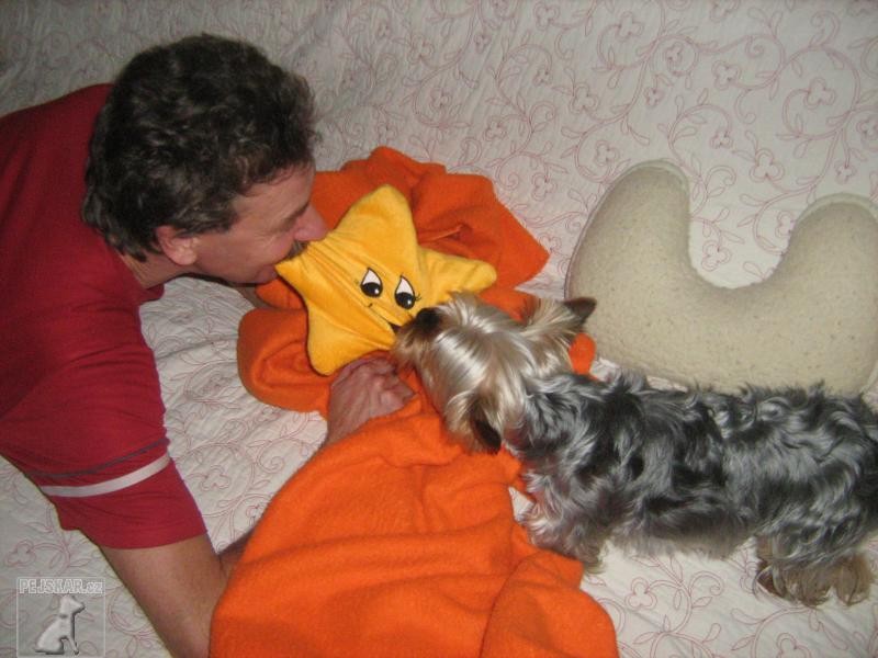 Teddy