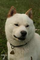 hokkaido ken