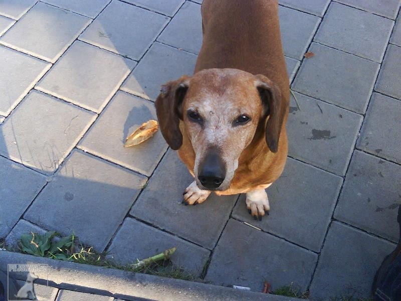 Riki