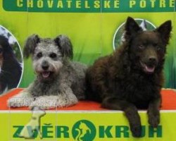 Napos Meseszep