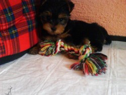 lucky a largo